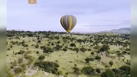 Hot Air Balloon Ride | adventure | Africa | Tanzania Travel #shorts