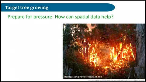 Keys to Improving Outcomes of Tree Planting Campaigns (October 2020)