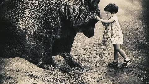 Nahko bear - medicine for the people