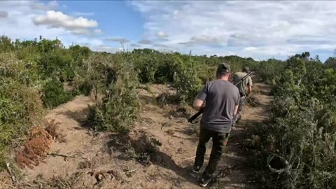 ZEBRA ALMOST STEPPED ON US ! Hunting in South Africa - Day 1 !