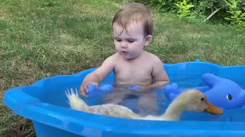 Baby funny reaction with duck....