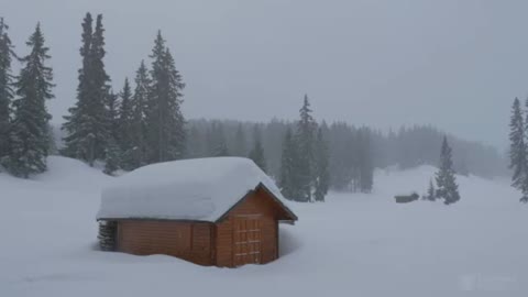 A cabin in the woods during a snow storm