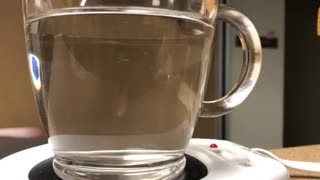 Steeping cinnamon