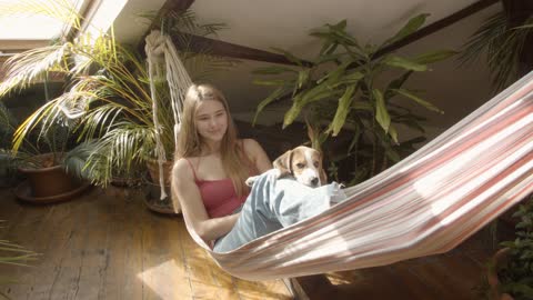 Dog in the hammock