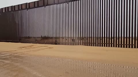 SHOCKING FOOTAGE! Watch Migrants Climb Border Wall. San Luis Arizona.