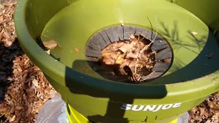 Sunjoe Leaf Shredder