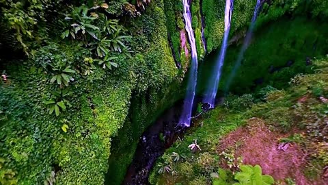 Madakaripura Waterfall , Java , Indonesia