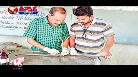 Wounded Cobra Undergoes Spinal Cord Surgery | Teenmaar News | V6 News