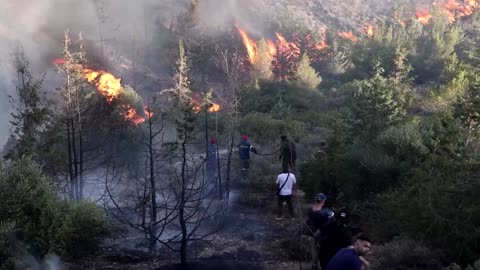 Wildfire raging near Athens damages homes, cars