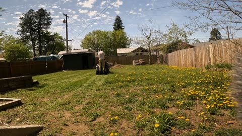 OVERGROWN Backyard FULL Of Weeds Gets Mowed Down
