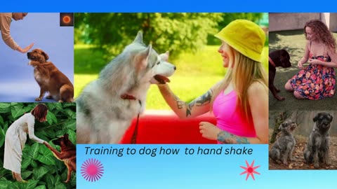How do I teach my dog to shake my hand?