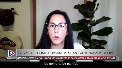 #25 ARIZONA CORRUPTION EXPOSED: Christine Reagan - The Cat's Out Of The Bag! Legislators Are Now ACCOUNTABLE To Arizonans To Fully INVESTIGATE!