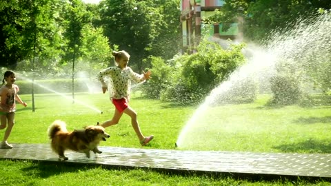 Heartwarming Scenes of Girls and Dogs Frolicking in the Park