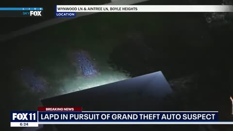 Suspect drives backwards to evade cops