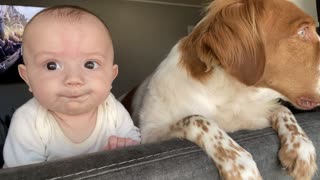 Dog and Baby Look Out Window Together