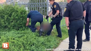 FREEDOM! Deer TRAPPED IN FENCE Freed by Colorado Firefighters, Police