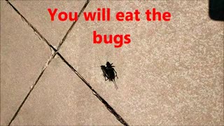 You will eat the Bugs!