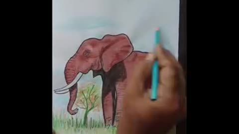 How to draw/elephant 🐘 easy drawing
