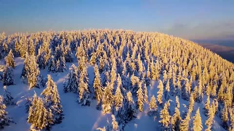 Winter wonderland, snow scenery