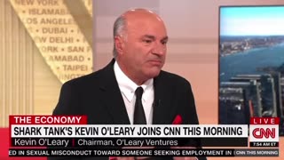 Kevin O’Leary, also known as Mr. Wonderful from Shark Tank, calls out the insanity of the Democrats