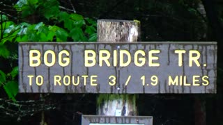Bog Bridge Trail