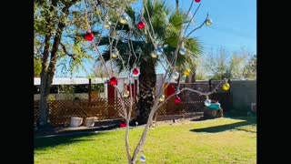 Minimalist, up-cycled rustic Christmas Tree