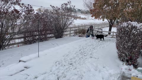 Snow Time with my Dog.