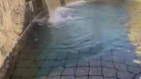 Biggest swing pool in the world