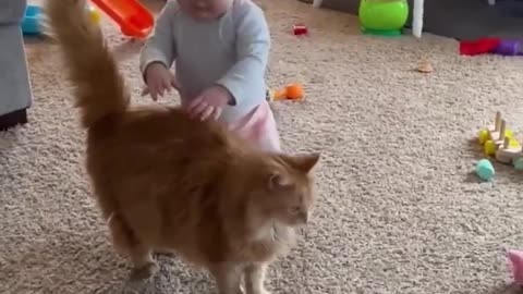 Beautifull cat helps baby take his first steps...!!!