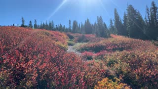 Oregon – Mount Hood – Spectacular Autumn Beauty – 4K