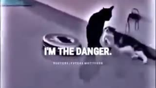 I’m the danger!!!