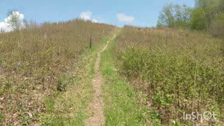 Day 5 & 6 - Appalachian Trail 2020 - NC, TN, VA, WV, MD , PA