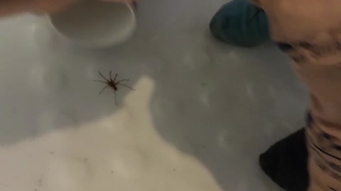 2-Year-Old Son Calmly Catches Spider in Bathtub