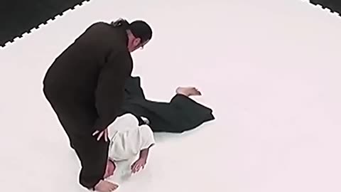Steven Seagal demonstrates his Aikido mastery
