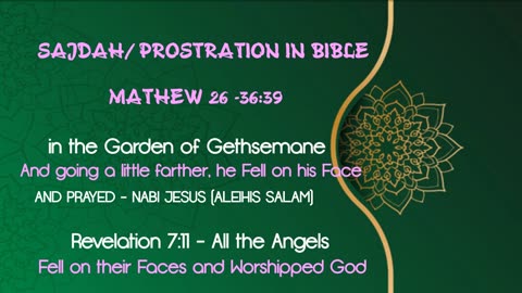 Jesus was a Muslim - Prostration Bible