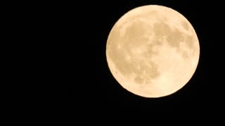 The Moon is not a rock - Fullmoon fly by - Nikon P1000 #FE