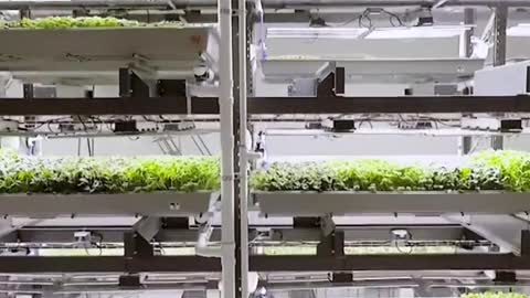 This Farm Is UsingAwesome Tech toProduce FoodSustainably