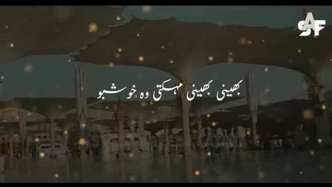 Ae Saba Mustafa Se Keh Dena | Salam | Lyrical Video Of Salam | Syeda Areeba Fatima