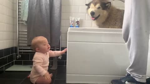 Giant Sulking Dog Hates Bath Time But Baby Helps Him (Cutest Duo EVER!!)-19