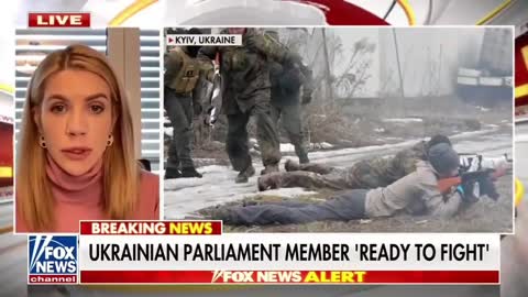 "I'm fighting not just for the Ukraine but for the New World Order" - Ukrainian MP