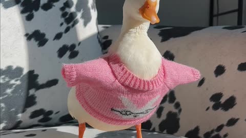 Charming Duck in Pink: A Cow-Print Perch