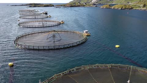 aerial footage farm salmon fishing in norway