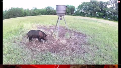 What's at the feeder LIVE after the storms? 5/15/2023