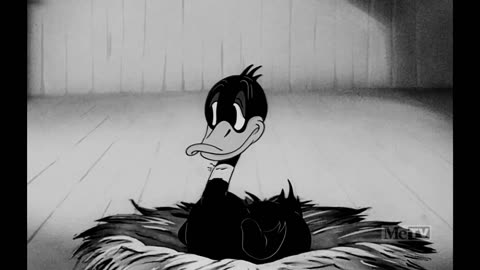 Looney Tunes - The Henpecked Duck