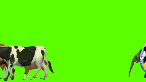 Animal Stampede green screen zoo