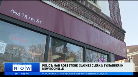 Sources: Man robs store, slashes 2 in New Rochelle