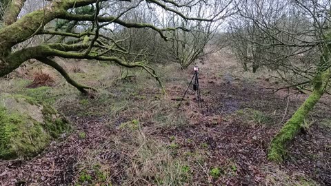 Let's start again. POV GoPro wildcamping 22nd March 2023