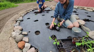 Silo Planting Melons