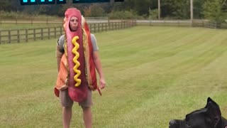 My Dog Chased Down a 100-Lb. Hot Dog