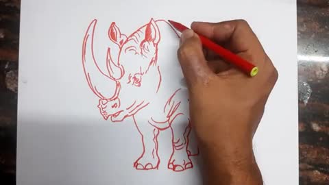 Rhino Drawing // Easy Rhino drawing